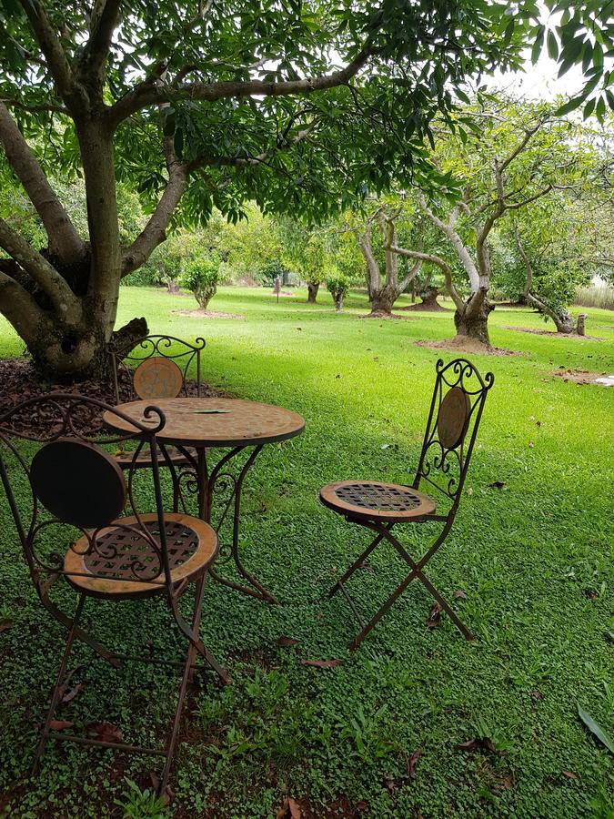 Camelot Boutique Accommodation Mount Tamborine Exterior foto