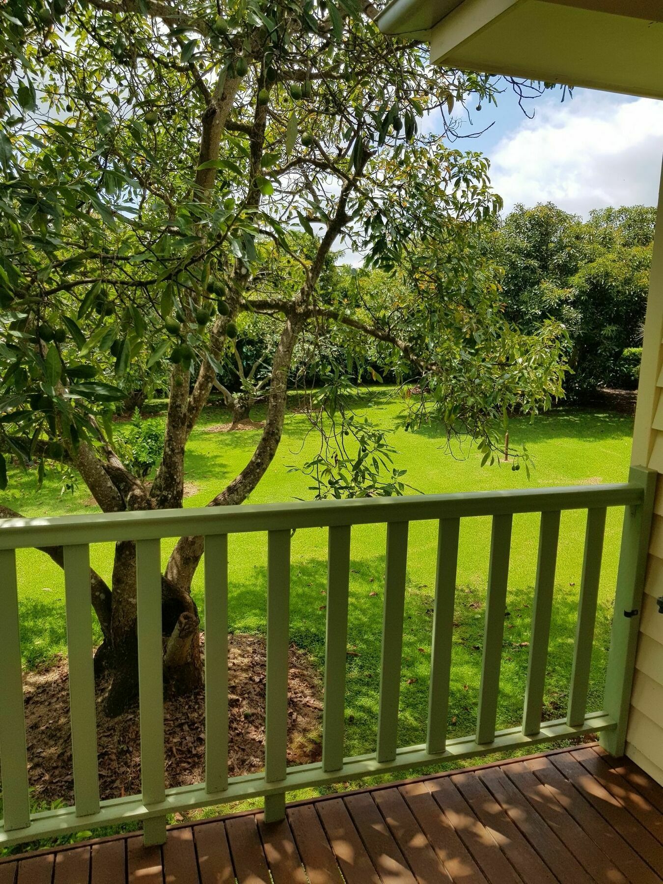 Camelot Boutique Accommodation Mount Tamborine Exterior foto