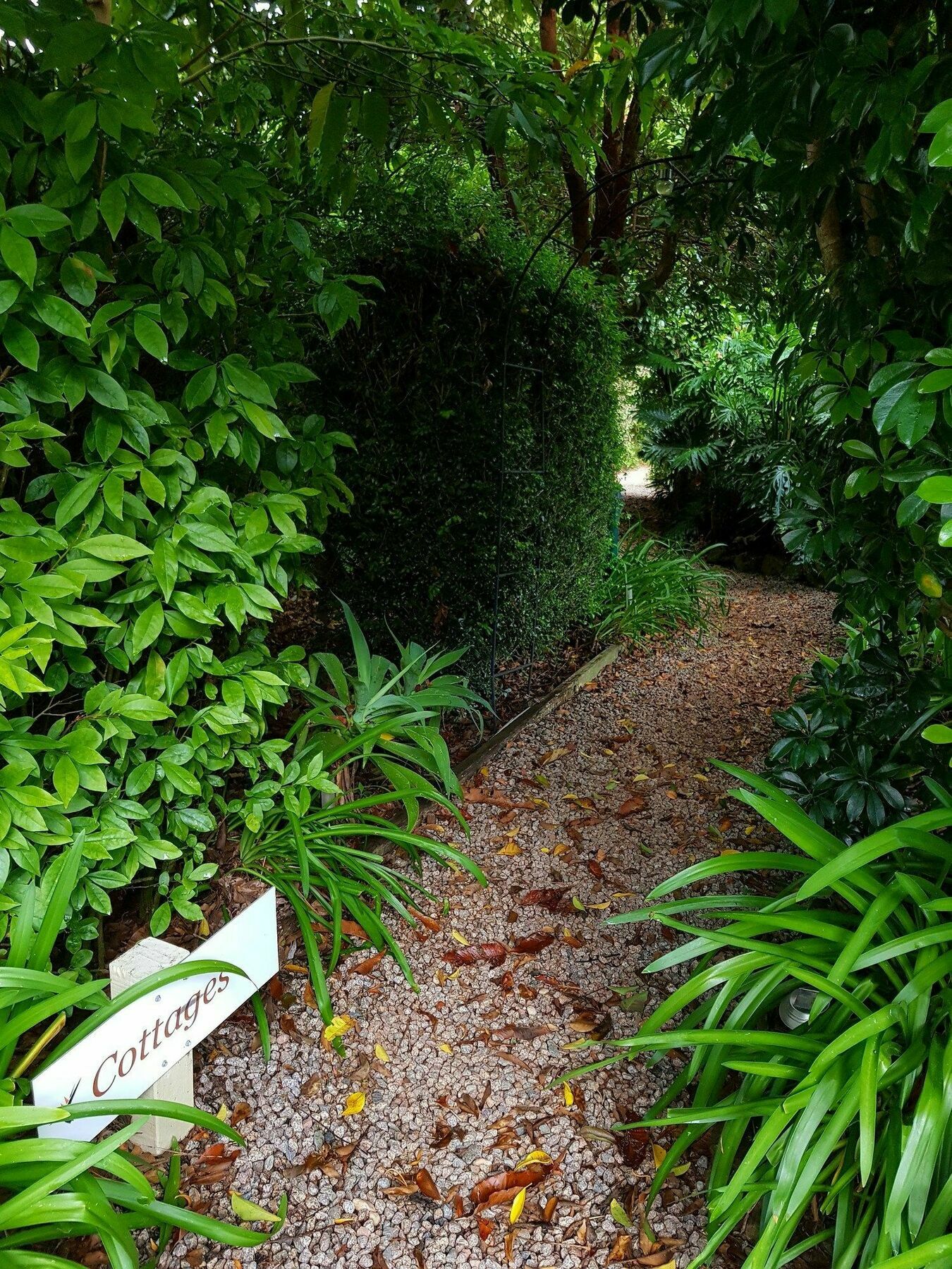 Camelot Boutique Accommodation Mount Tamborine Exterior foto